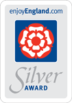 silver award